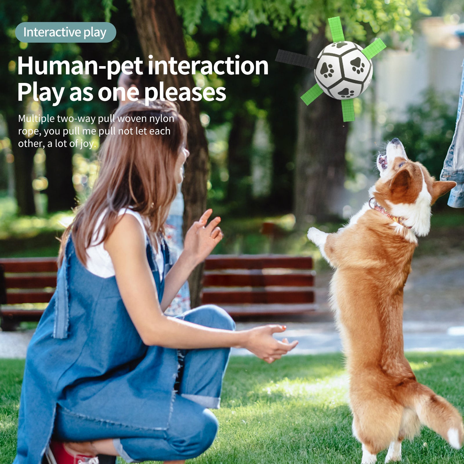 Interactive Dog Football Toy – Fetch & Tug Soccer Ball for Dogs