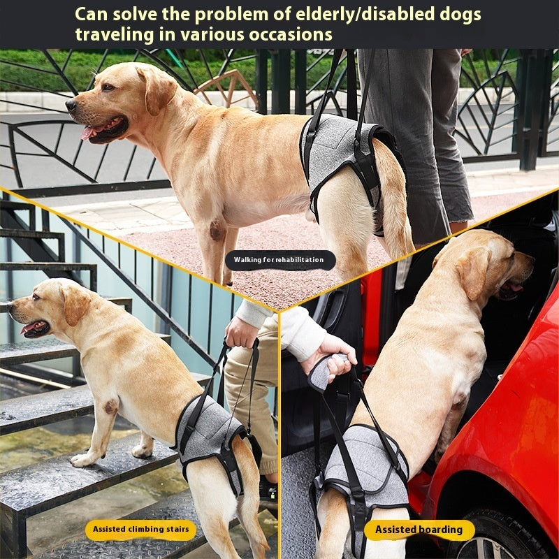Dog Rear Support Harness Strap — Mobility Aid for Senior Dogs