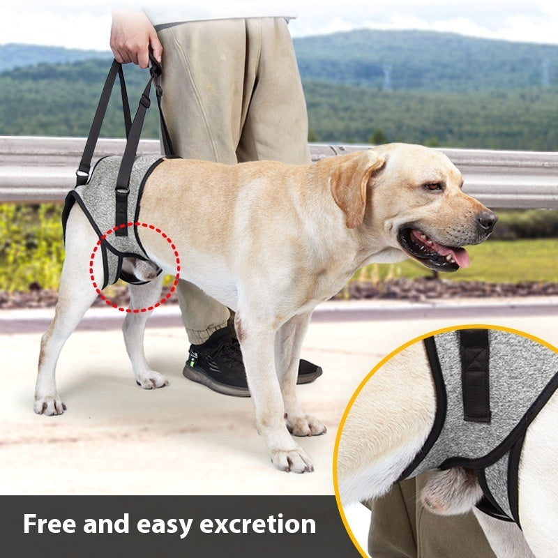 Dog Rear Support Harness Strap — Mobility Aid for Senior Dogs