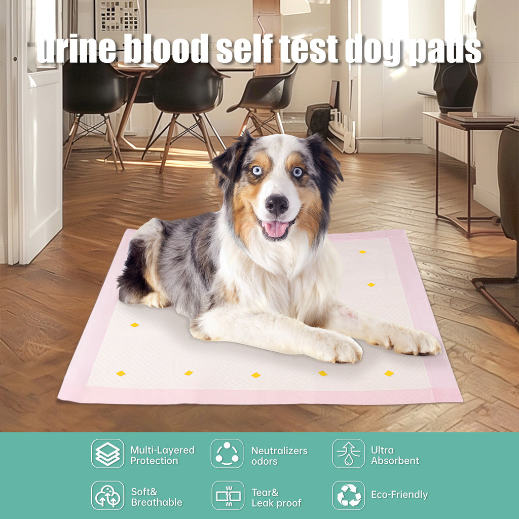 Dog Urine Detection Pads – Absorbent Training Pads for Dogs