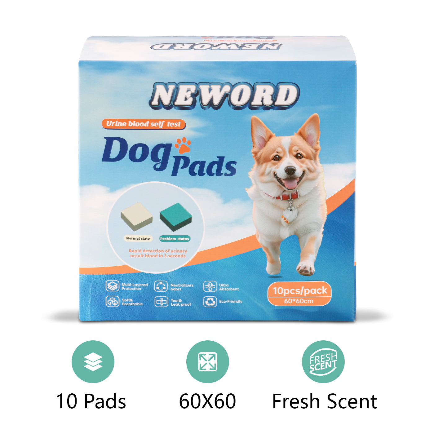 Dog Urine Detection Pads – Absorbent Training Pads for Dogs