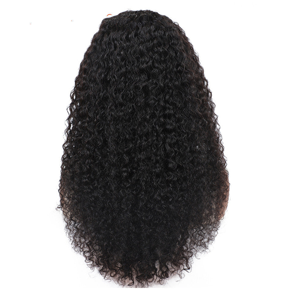 Back view of long curly black wig showing length and curl pattern